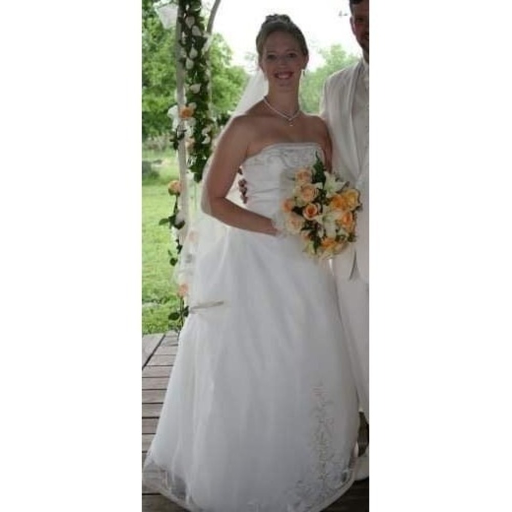 Michaelangelo Ivory Strapless Embroidered Wedding Dress 6 W/ 2 Veils & Petticoat - Picture 5 of 12